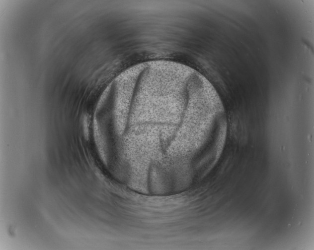 X0000102780026200809081037