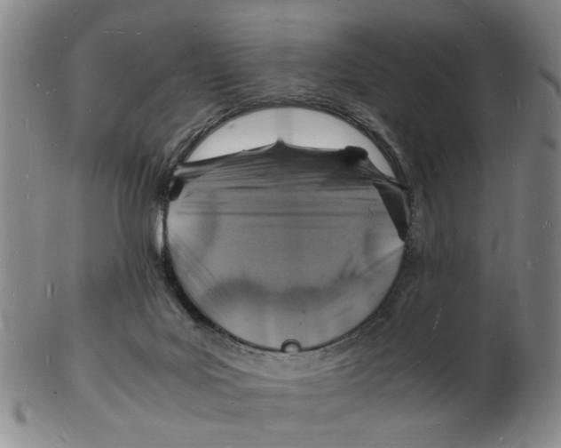 X0000102780027200809081037