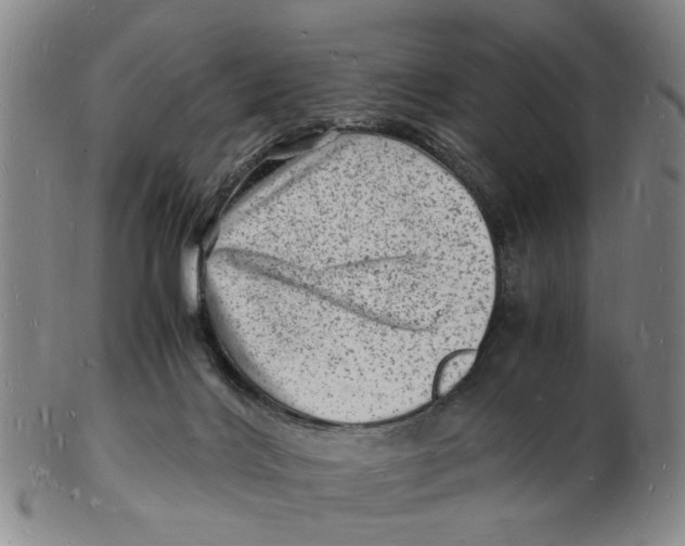 X0000102780028200809081037