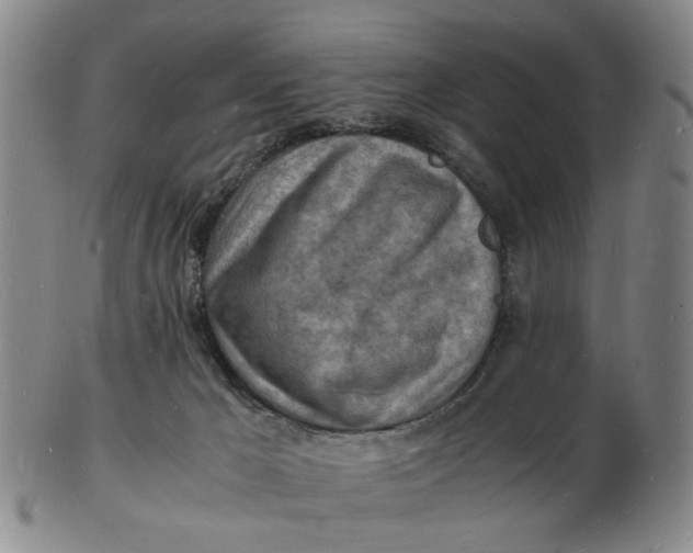 X0000102780029200809081037