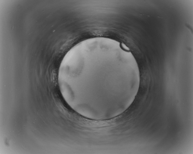 X0000102780031200809081037