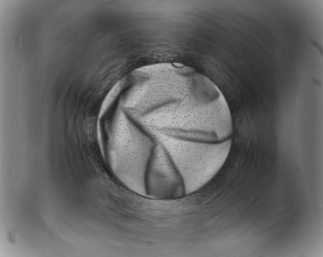 X0000102780034200809081037