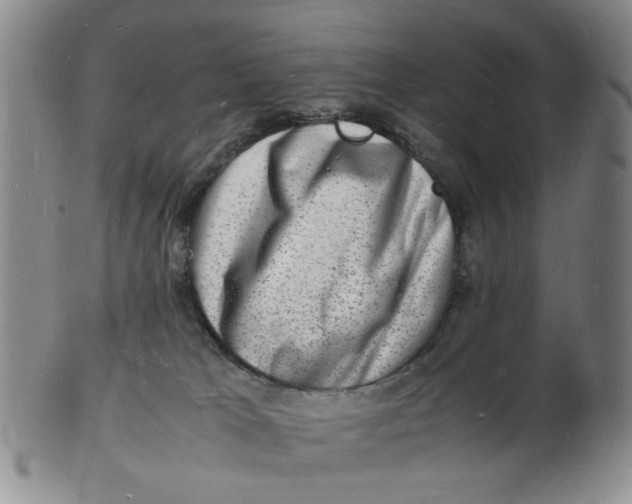 X0000102780037200809081037