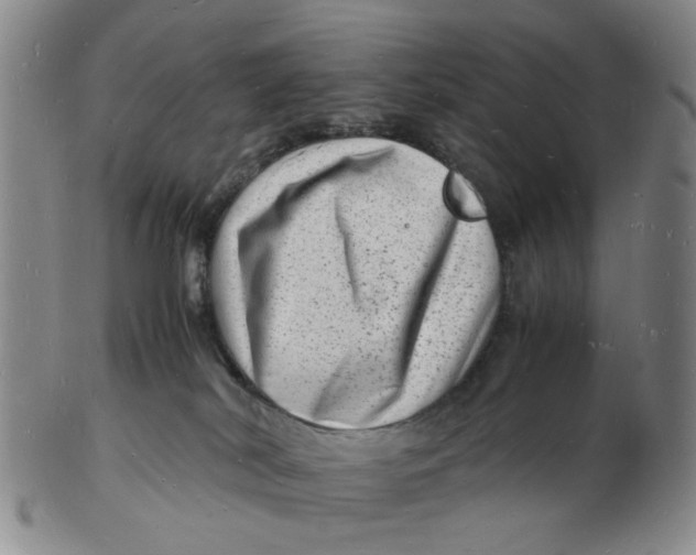 X0000102780038200809081037