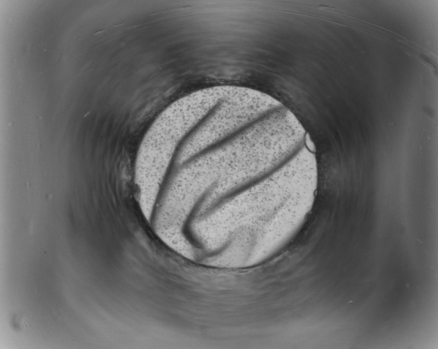 X0000102780040200809081037