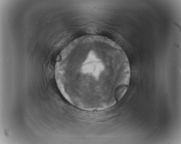 X0000102780043200809081037