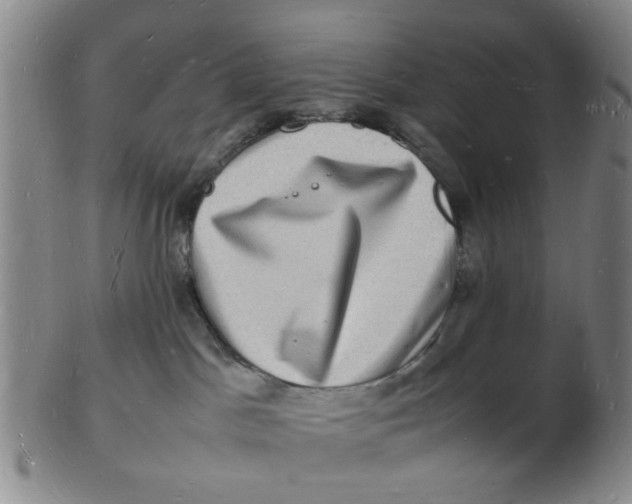 X0000102780045200809081037