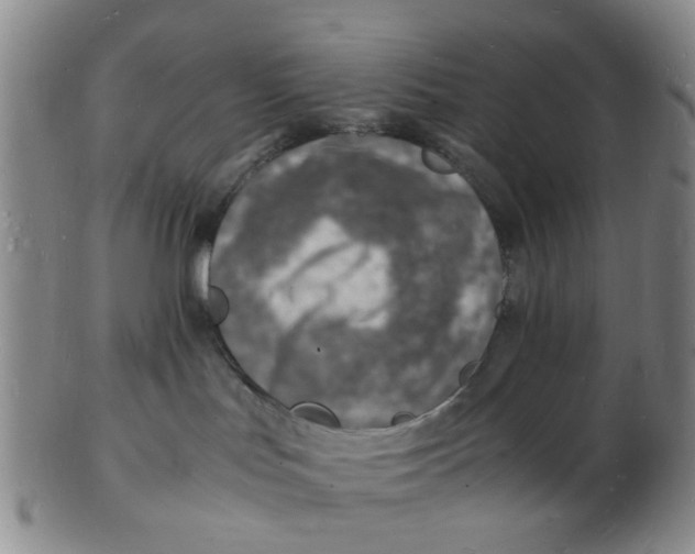 X0000102780047200809081037