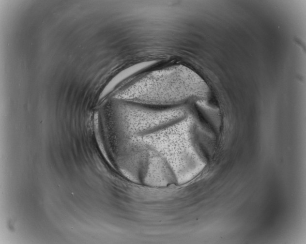 X0000102780048200809081037