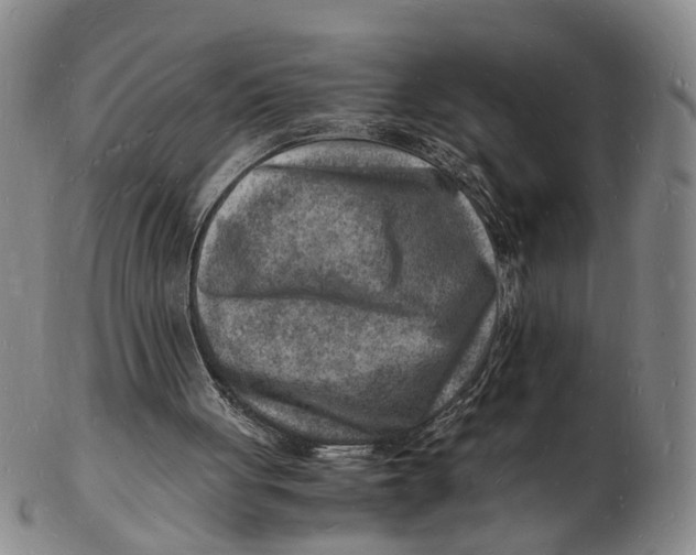 X0000102780051200809081036