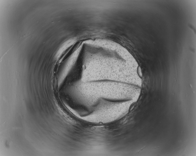 X0000102780054200809081036