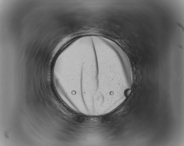 X0000102780056200809081036