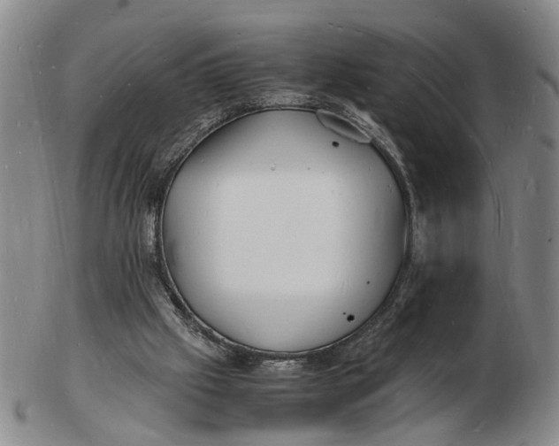 X0000102780057200809081036