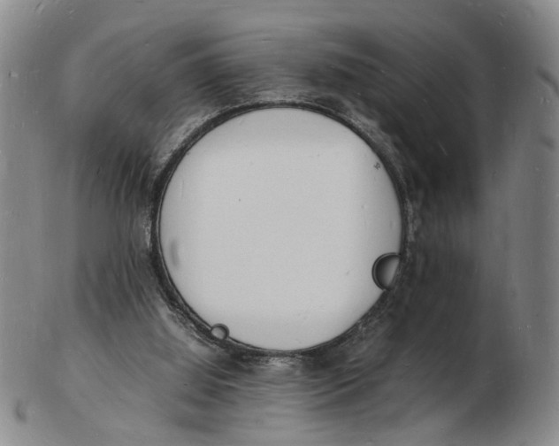 X0000102780060200809081036