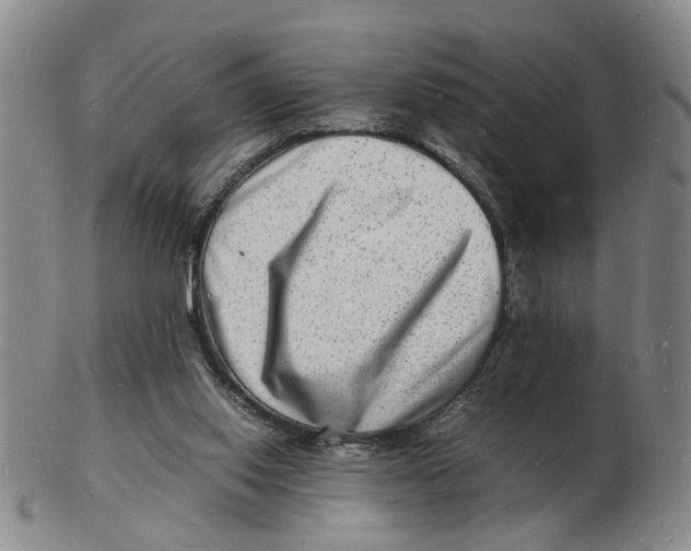 X0000102780062200809081036