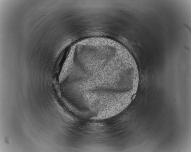 X0000102780063200809081036