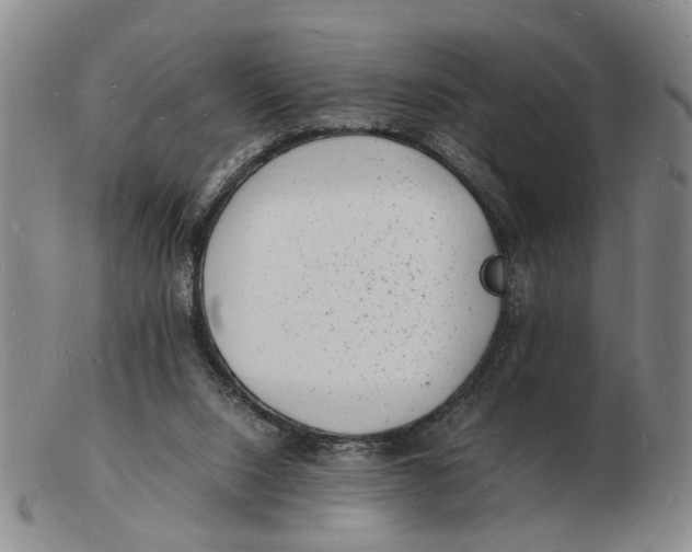 X0000102780064200809081036