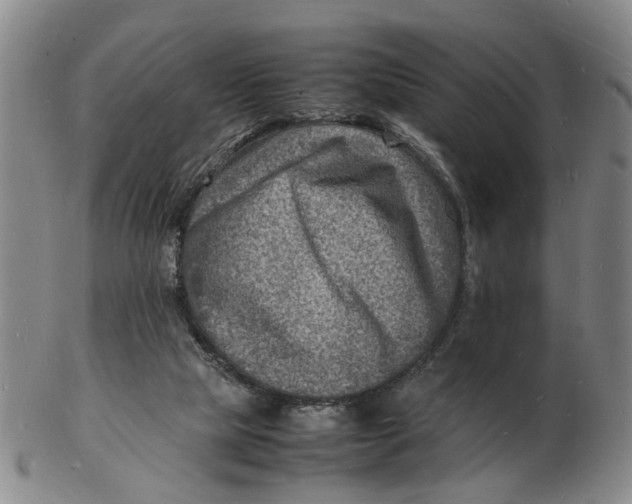 X0000102780065200809081036