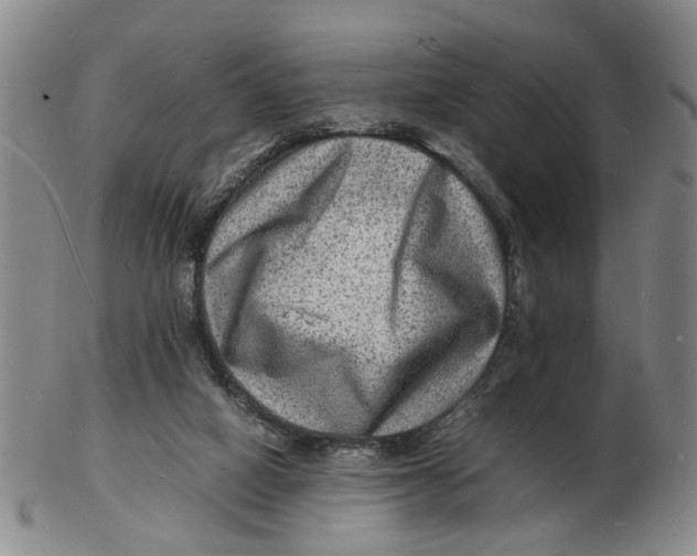 X0000102780066200809081036