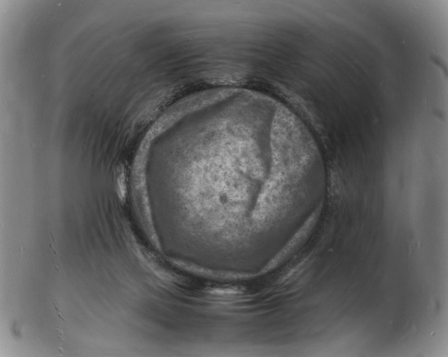 X0000102780069200809081036