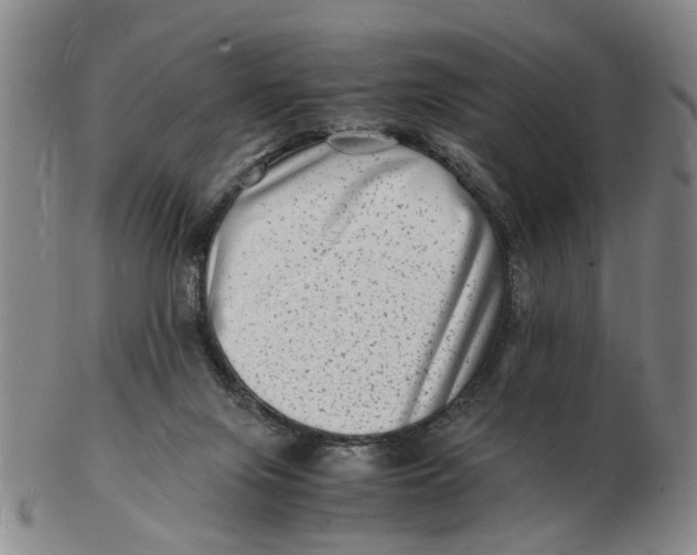 X0000102780071200809081037