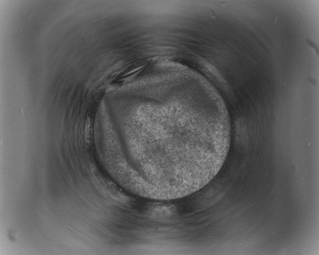 X0000102780073200809081037