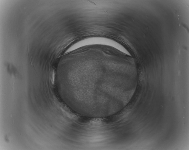 X0000102780076200809081037