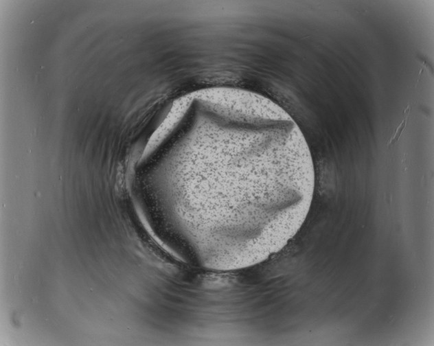 X0000102780077200809081037