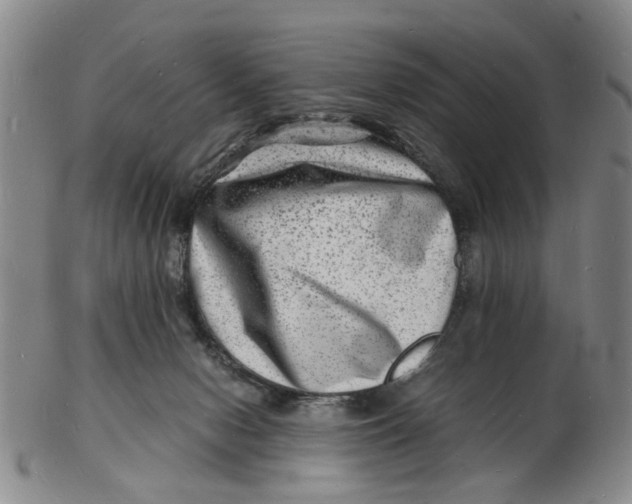 X0000102780078200809081037