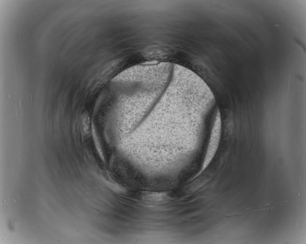 X0000102780081200809081037