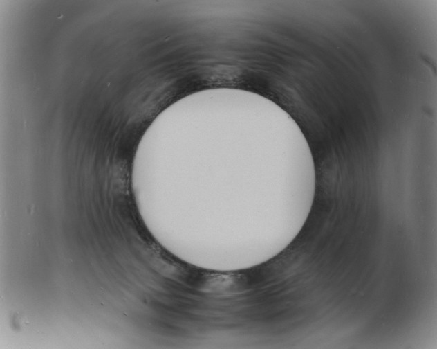 X0000102780083200809081037