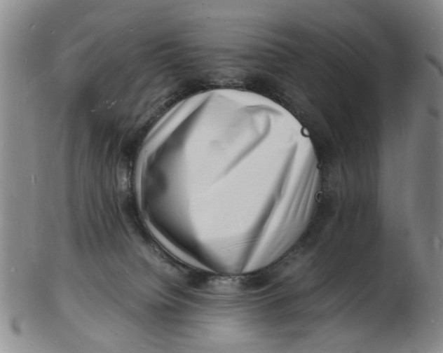 X0000102780084200809081037