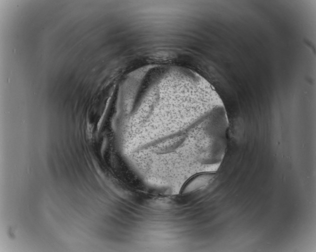 X0000102780086200809081037