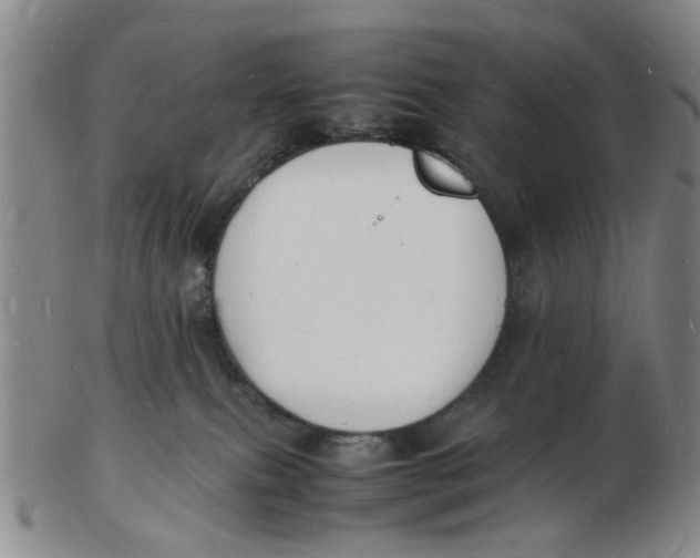 X0000102780087200809081037