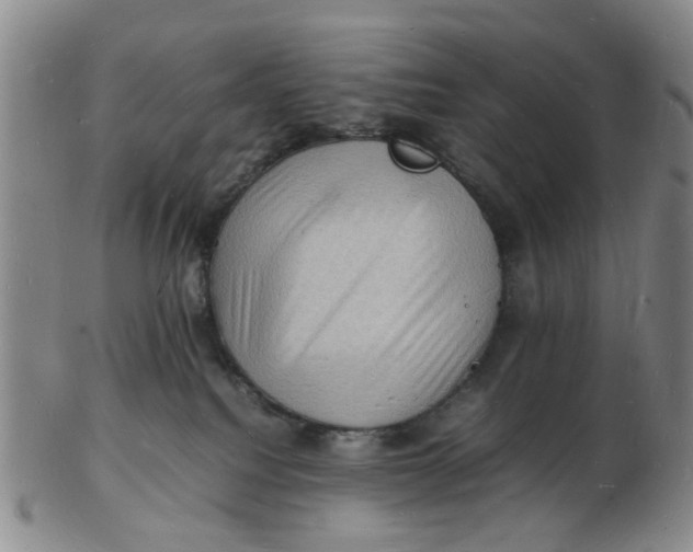 X0000102780088200809081037