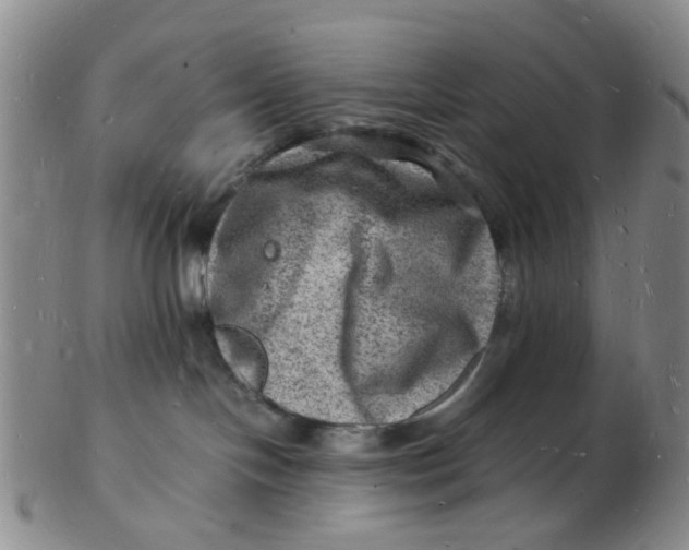 X0000102780094200809081037