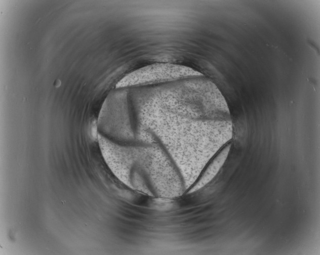 X0000102780095200809081037