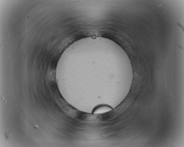 X0000102780096200809081037