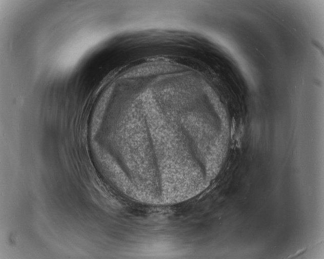 X0000102780099200809081036