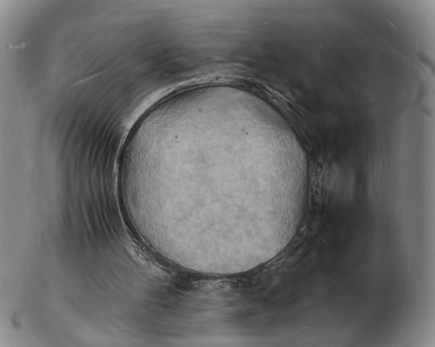 X0000102780100200809081036