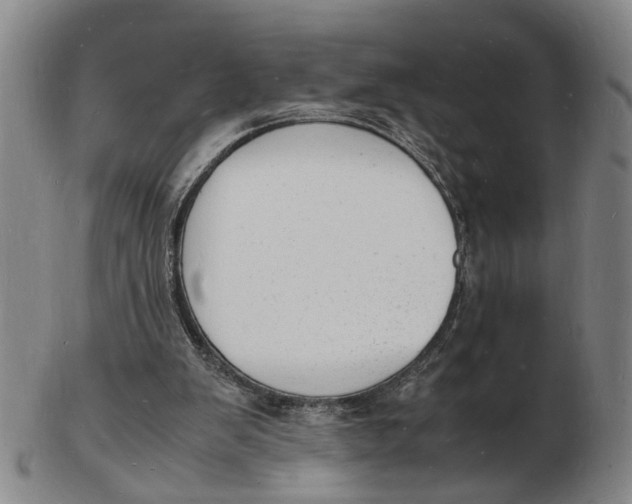 X0000102780103200809081036