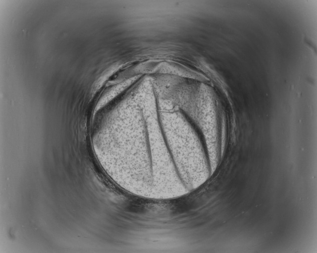 X0000102780107200809081036