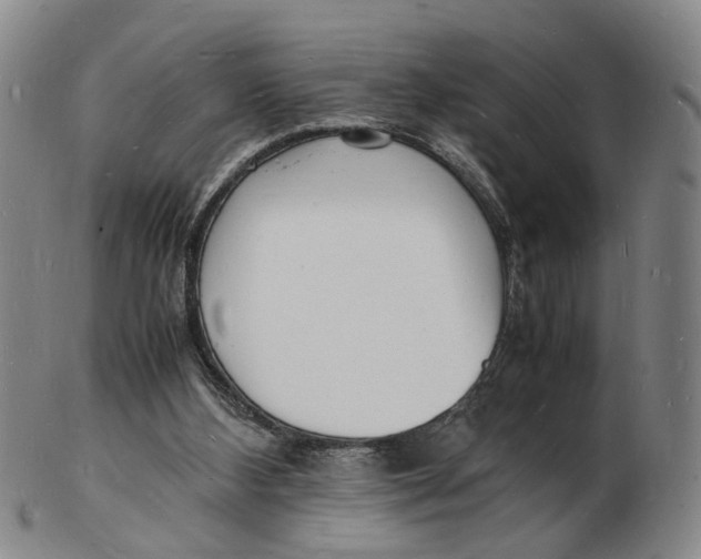 X0000102780108200809081036