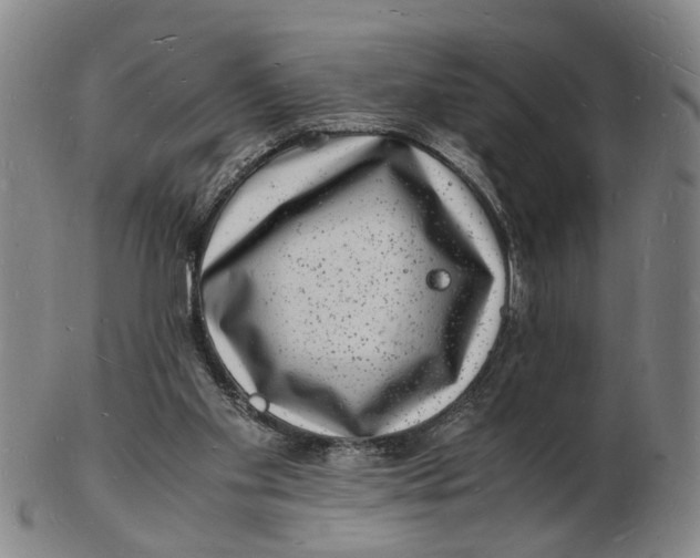 X0000102780109200809081036