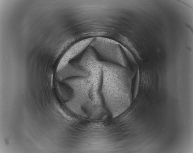 X0000102780110200809081036