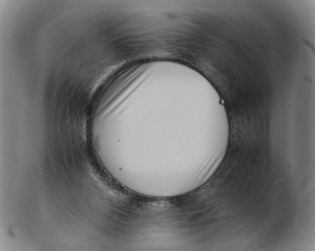 X0000102780112200809081036