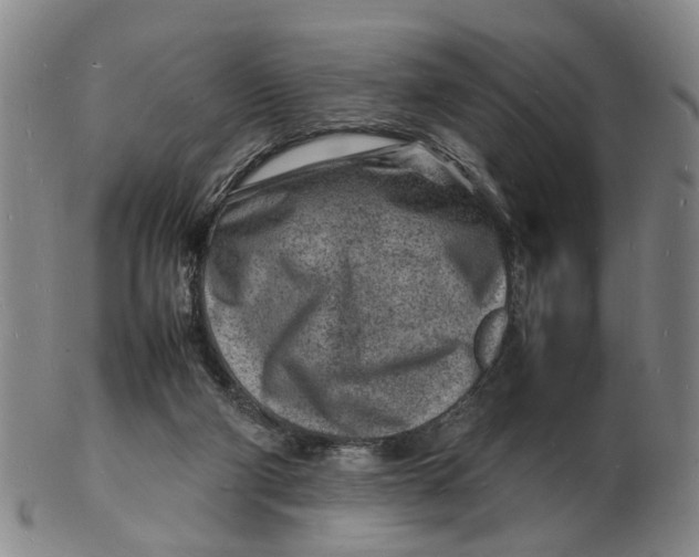 X0000102780114200809081036