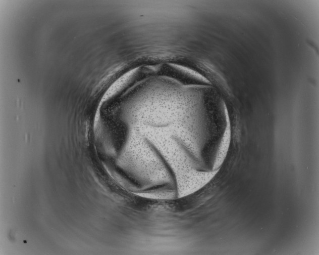 X0000102780115200809081036