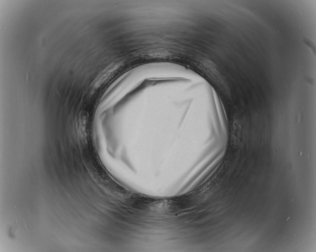 X0000102780116200809081036