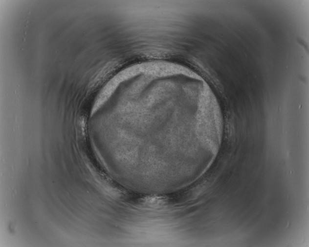 X0000102780117200809081036